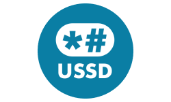 ussd logo